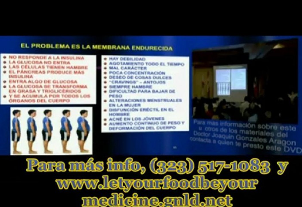 1era parte de Magno Curso: Resistencia a la Insulina