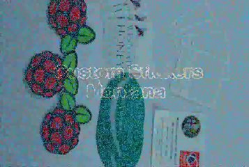 Custom Stickers Montana, Custom Stickers MT