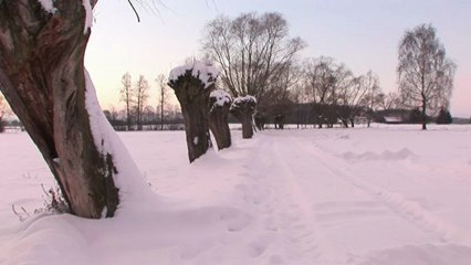 Frío mata a 49 personas en Polonia