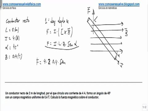 Fisica campo magnetico fuerza magnetica conductor recto