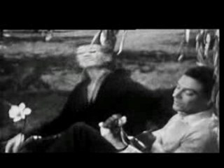 barbara - fleurs de meninges