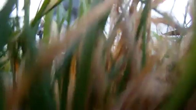 GOPR0012 toujours plus haut toujours plus loin