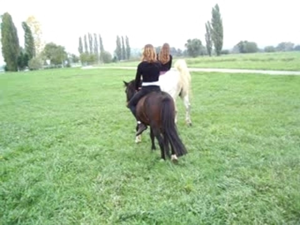 fabulon et moi (poney blanc)