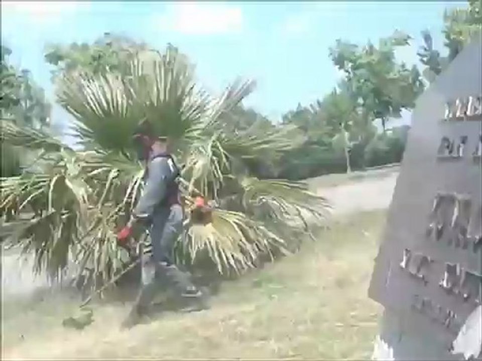 TEMİZLİK BAŞKAN TEMİZLİK ÇİM BİÇME VE TEMİZLİK HİZMETİ 262 270 00 04