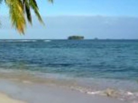 Claiming coconut harvest auf den San Blas Inseln vor Panama