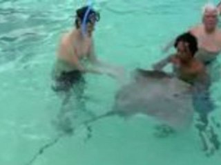Moorea- die kleine Schwester von Tahiti