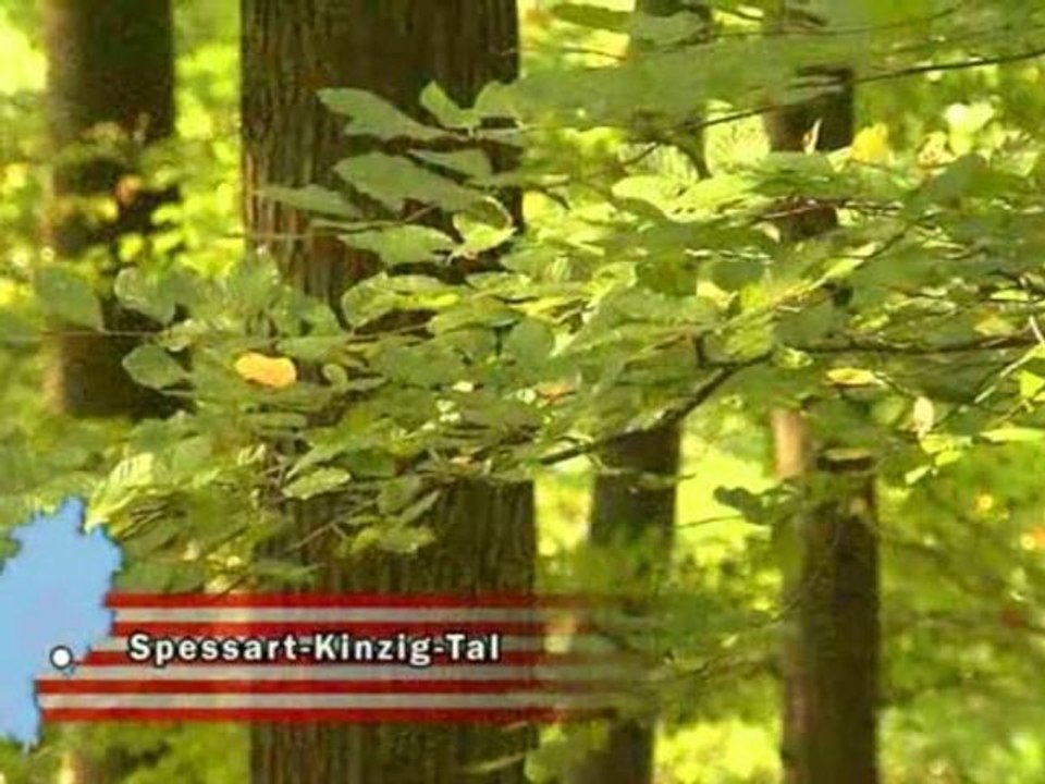 Tourismus in Hessen - Spessart Kinzigtal