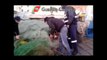 Livorno - Sequestro di pesce e reti a strascico (21.12.12)