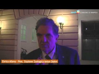 Napoli - Luce e vita, alla Stazione Zoologica Anton Dohrn (13.12.12)