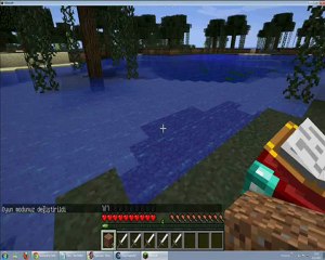 Mınecraft Level Hilesi