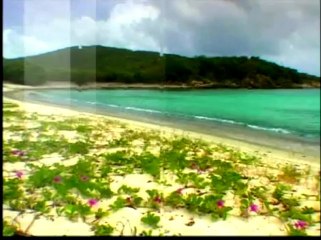 profesyonel,ercan arkat,ali yeşildağ