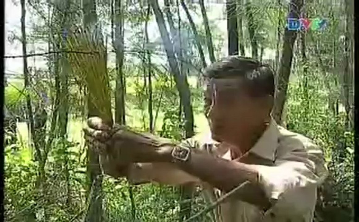 Đến Với Đảo Yến Cù Lao Chàm Hội An 1 [ Vua Thể Thao Hội An ]