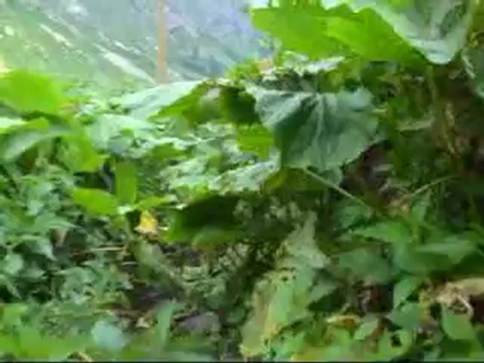 TDF ileri kar buz egitimi kavrun yaylası şahin cafe pansiyon