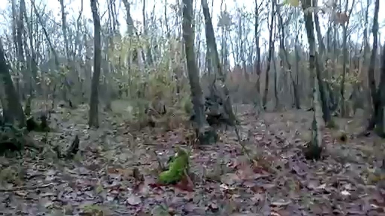 Sakarya Çulluk avı 22 Aralık 2012