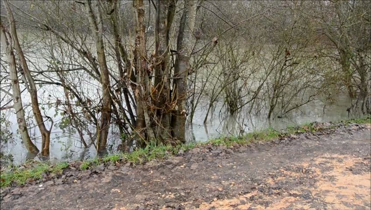 1. Pont-de-Vaux. Crue de la Saône. 21.12.2012