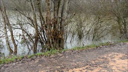 1. Pont-de-Vaux. Crue de la Saône. 21.12.2012