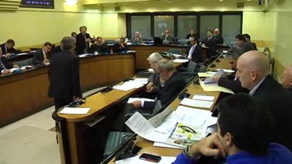 consiglio sullindipendenza veneta