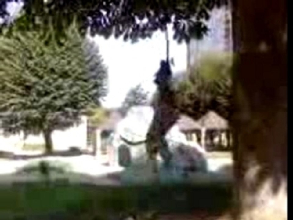 MOV00003