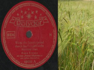 Wenn der Sommerwind durch das Kornfeld weht Im Schwarzwald und am Bodensee Marschlieder Hans Freese