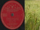 Armand geber - hans im schnokeloch