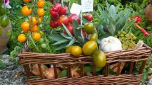 Rétrospective Jardins de Tomates 2012