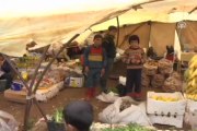 Suriyelilerin yaşam mücadelesi