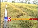 Tv9 - Special focus on Nagarjuna Sagar Dam