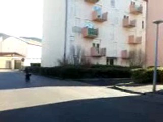 Trotinnette freestyle bruce team asce