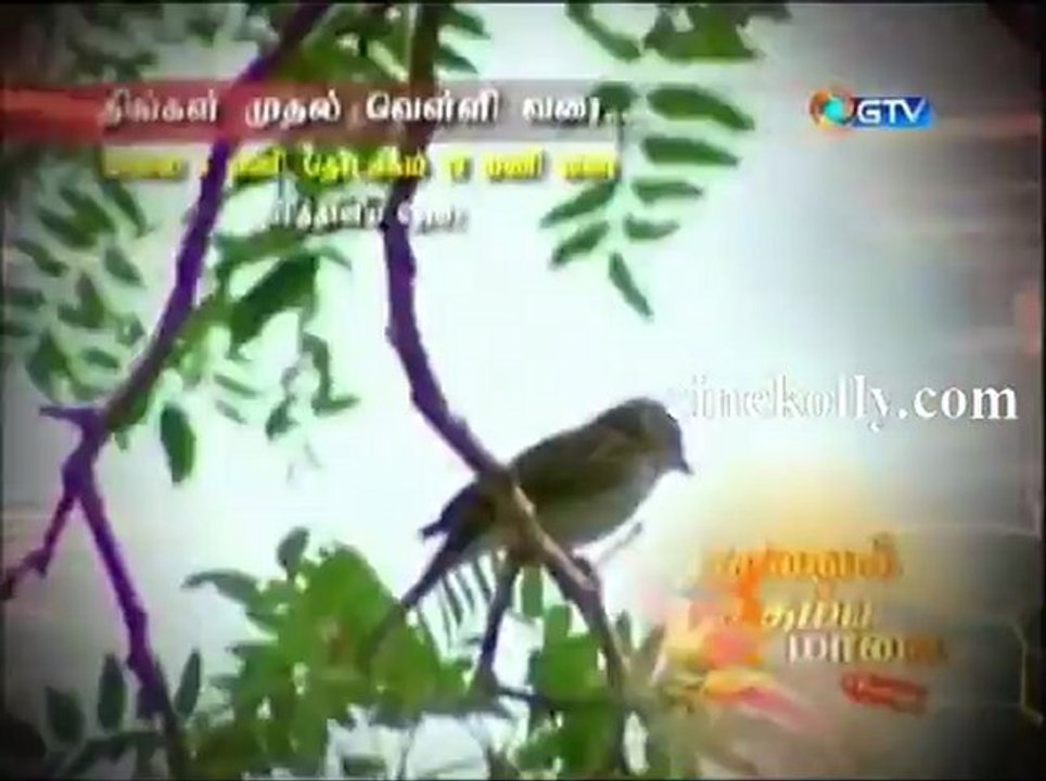 gnews23122012