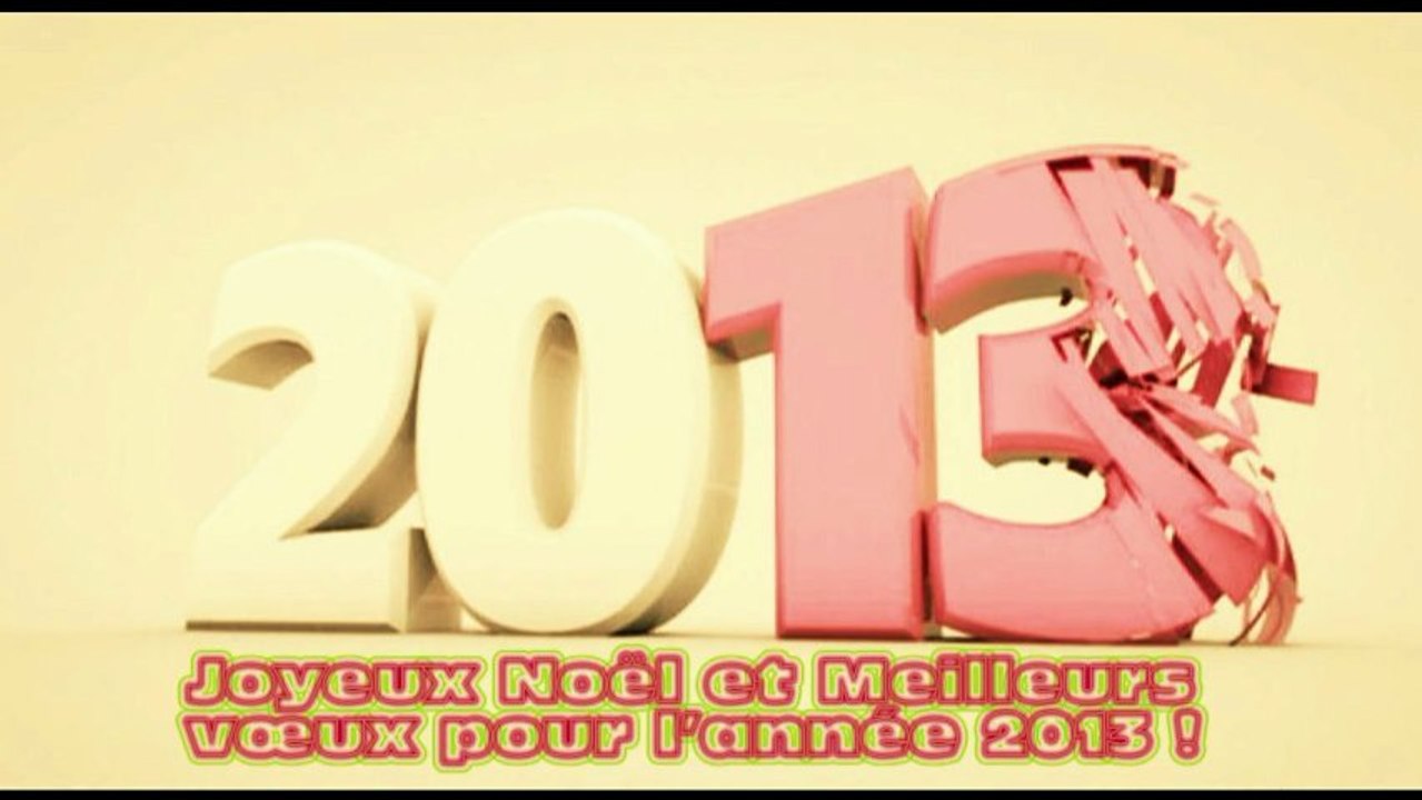 Voeux 2013 DVS ANTHON