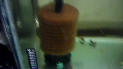 VIDEO0096