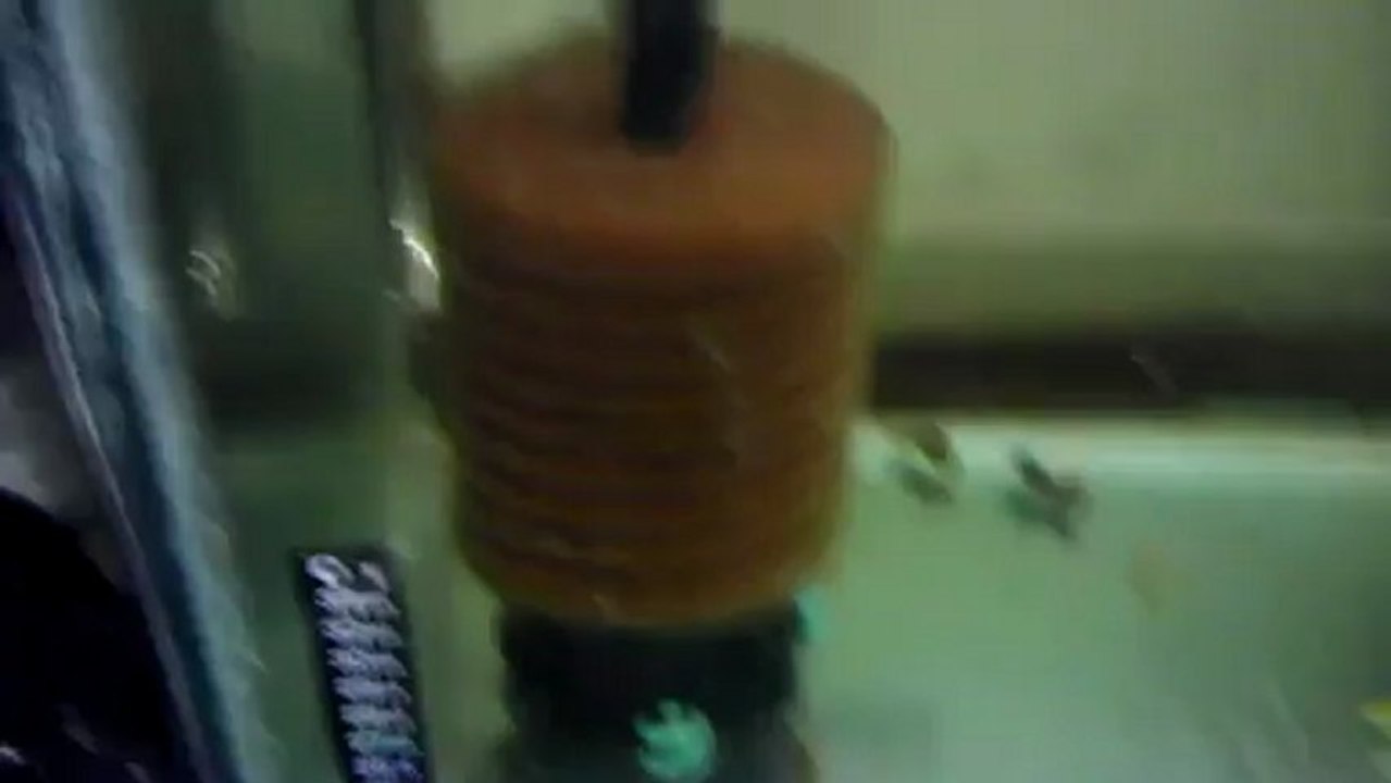 VIDEO0096