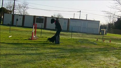 20121223 toit running partie 10 virgule