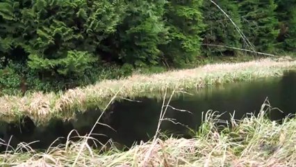 Minnekhada Regional Park, Coquitlam, BC