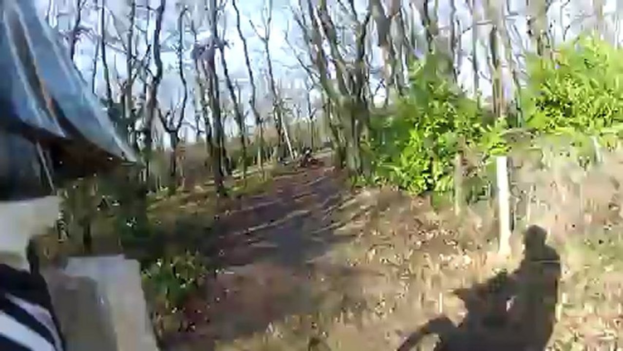 Enduro 23.12.2012 1