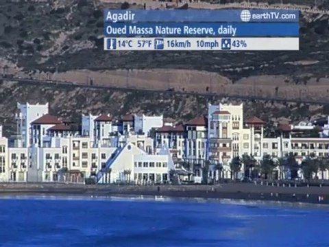 Cologne - Germany, Arcachon - France, Ascona - Ticino - Switzerland, Amsterdam - Netherlands, Dusseldorf - Germany, Washington - USA, Agadir - Morocco