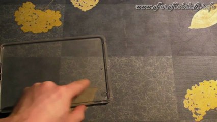 Recensione completa su Anycast Solutions iPad mini Icy custodia semi trasparente