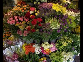 A1 Bangalore Flowers | A1BangaloreFlowers.com