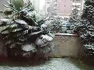 Prima neve inverno 2012