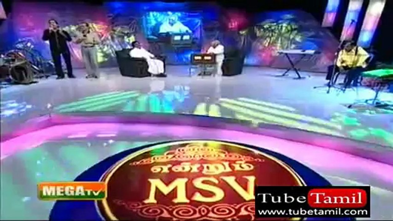 msv_(new)