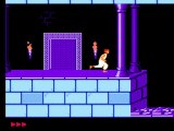 Prince of Persia (NES) [HD] - Gameplay   Commentary