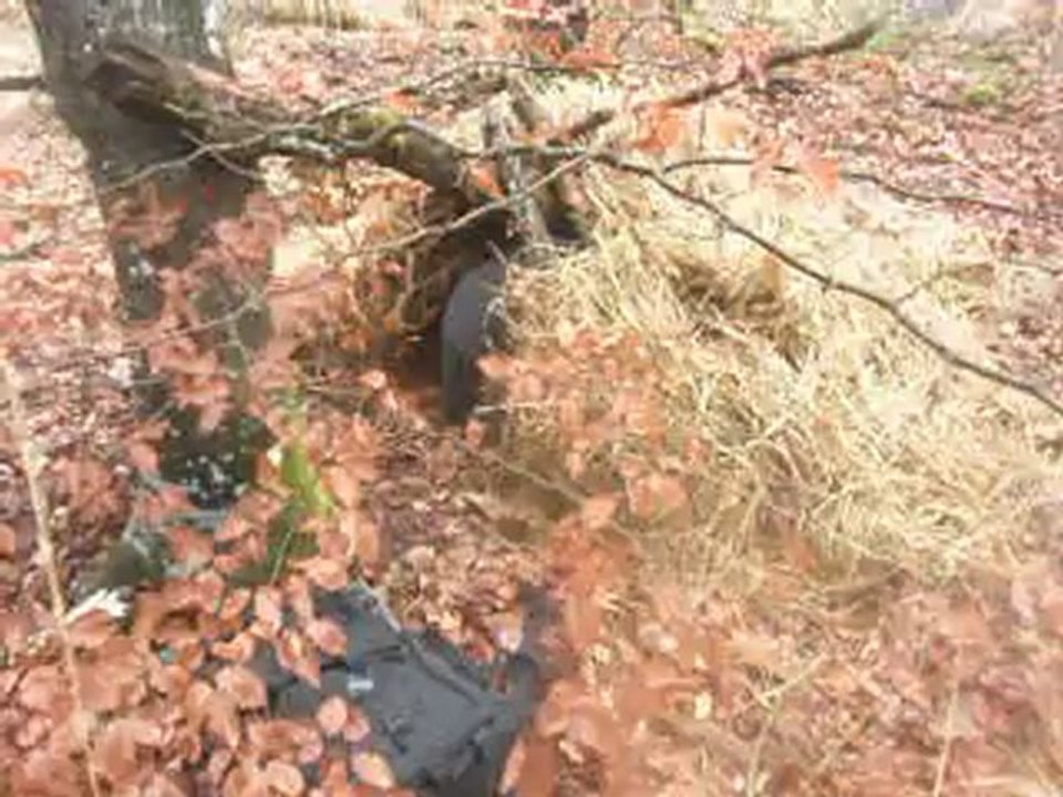 mes video dans les bois 002