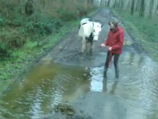Cap'tain passe dans une grannnde flaque d'eau