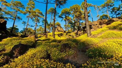 Rize  Tanıtım Filmi