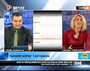 Başörtülülere Nankör Köpek Diyen CHP'liye Sert Yanıt