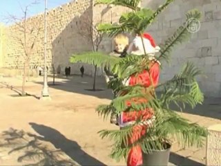 В Иерусалиме Санта-Клаус дарит новогодние елки