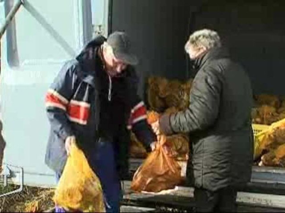 Coquille Saint-Jacques : Découverte du Turbin (Vendée)