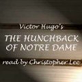 The Hunchback of Notre Dame audiobook sample