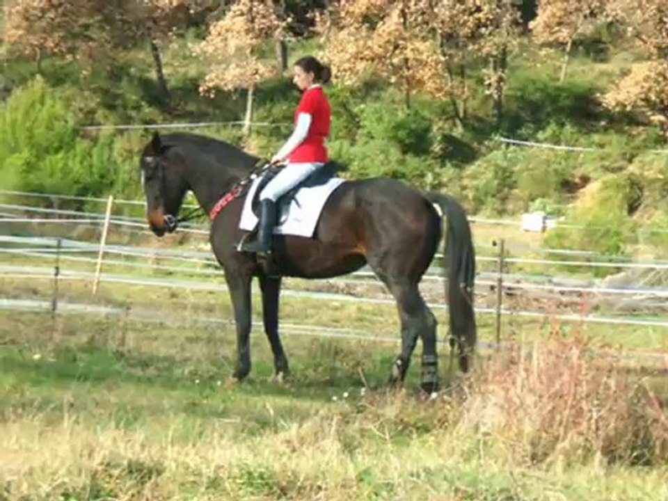 Noel 2012