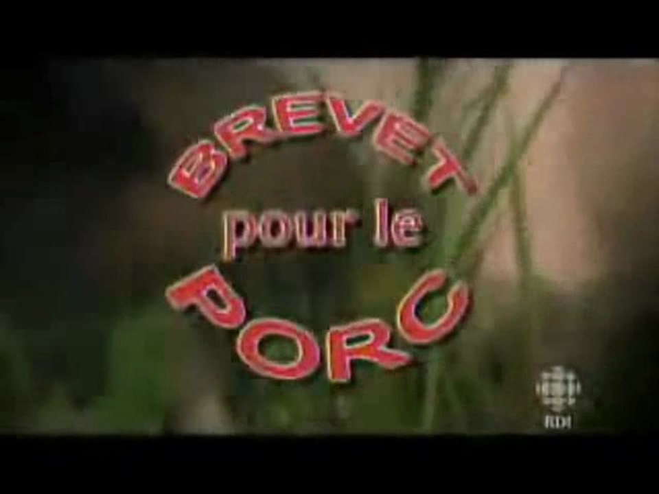 Brevet pour le Porc, OGM Monsanto